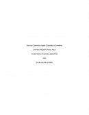 Sistemas Operativos Apple Orientados a Servidores