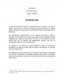 Ensayo en materia de amparo