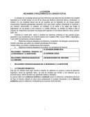 La cohesión - Profesora Susana Terrones