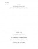 Taller colaborativo de Cálculo I