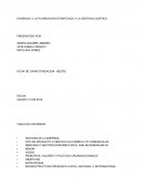 EVIDENCIA 3: LA PLANEACION ESTRATEGICA Y LA GESTION LOGISTICA