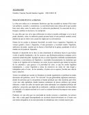 Ensayo golpe en la granja