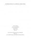 INGENIERÍA INDUSTRIAL EN LA GESTIÓN DE LA PRODUCTIVIDAD