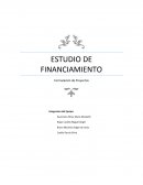 ESTUDIO DE FINANCIAMIENTO Formulación de Proyectos