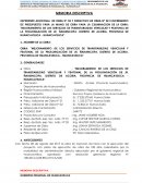 MEJORAMIENTO DE LOS SERVICIOS DE TRANSITABILIDAD VEHICULAR Y PEATONAL DE LA PROLONGACIÓN DE JR. ÑAHUINCOPA