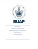 Ensayo la docencia como profesión