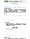 Guía biomecánica análisis y biomecánica de la marcha normal