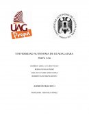 Administracion. organirama y su justificacion. Grupo SANI