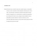 REGIMEN Y SISTEMA POLITICO ACTUAL