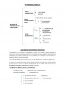 Derecho Procesal Penal II