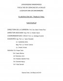 ELABORACIÓN DEL TRABAJO FINAL “HANTAVIRUS”