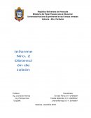 Proyecto de saponificacion