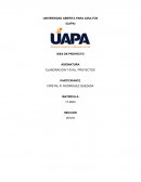 IDEA DE PROYECTO DE INVERSION