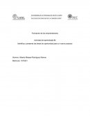 Identifica y presenta las areas de oportunidad para un nuevo proyecto. Croquetas veganas para gatos de edad adulta