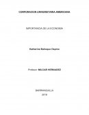 IMPORTANCIA DE LA ECONOMIA