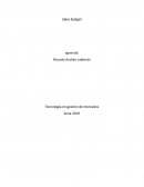 Sales Budget Tecnología en gestión de mercados