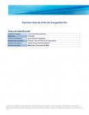 Factores clave del exito