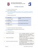 TECTONICA DE PLACAS. LA IDEA DE TECTÓNICA DE PLACAS