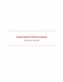 Proyecto Revisión Técnica a Domicilio Estudio de mercado