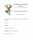 PRÁCTICA 03: “CÁLCULO DE VOLÚMEN Y DENSIDAD DE CUERPOS SÓLIDOS Y LÍQUIDOS