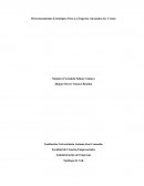 Direccionamiento Estratégico Para La Empresa Alexandra Ice Cream