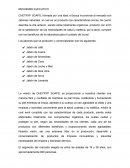 RESUMEN EJECUTIVO CHETRYP SOAPS