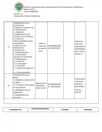 Planificacion microcurricular. PROYECTO INTEGRADOR DE SABERES: (SI CORRESPONDIERA) CONOCIENDO MI ENTORNO. Página 17