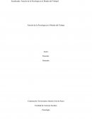 Función de la Psicología en el Mundo del Trabajo