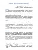 DERECHO AMBIENTAL Y DERECHO LABORAL