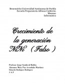 Ensayo de la Generación NINI