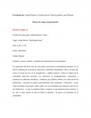 Social. Diarios de campo (categorización)