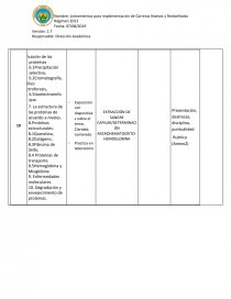 Planificacion microcurricular. PROYECTO INTEGRADOR DE SABERES: (SI CORRESPONDIERA) CONOCIENDO MI ENTORNO. Página 13