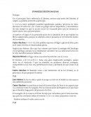 EVANGELIO SEGÚN SAN JUAN