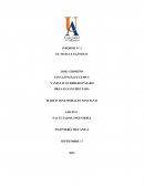 INFORME N° 1 EL MUELLE ELÁSTICO