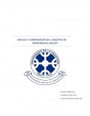 ANÁLISIS Y COMPRENSIÓN DEL CONCEPTO DE MODERNIDAD LÍQUIDA