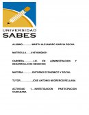 INVESTIGACION PARTICIPACION CIUDADANA