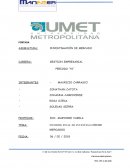 INFORME FINAL DE INVESTIGACIÓN DE MERCADOS empresa LOGICA S.A