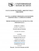PRIMER INFORME QUINCENAL DE PRÁCTICAS PRE PROFESIONALES I Análisis de Arroz Fresco y Añejo