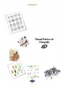 Alfabeto. Silabas y division de las palabras