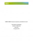 Principios de la exploración y sostenibilidad de la minería