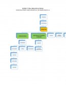 SOCIEDAD PORTUARIA REGIONAL DE BARRANQUILLA