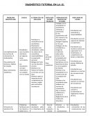 DIAGNÓSTICO TUTORIAL EN LA I.E.