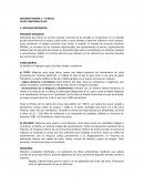 RESUMEN PRUEBA 2 – TUNELES