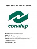 CIM ensayo descriptivo