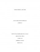 TEORIA SOBRE EL ARCO IRIS