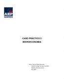 CASO PRÁCTICO 2 MICROECONOMIA