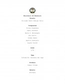 Informe #2: Anatomía del Sapo