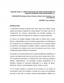 ANÁLISIS CASO 01: IDENTIFICACIÓN DE UNA NUEVA OPORTUNIDAD DE NEGOCIO EN MÉXICO PARA EFRAÍN NUÑEZ, Inc