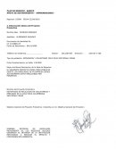 PLAN DE NEGOCIO - BASICO APOYO DE SOSTENIMIENTO - EMPRENDEDORES