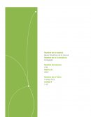 BASES FILOSOFICAS DE LA CIENCIA